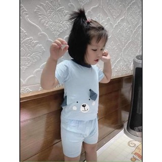 Bộ cọc tay thun lạnh tai thật