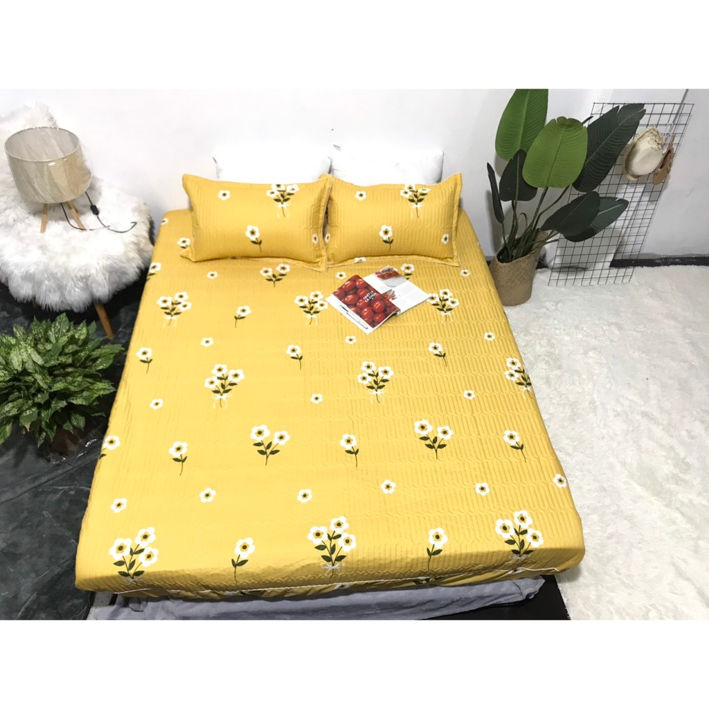 Bộ Ga Cotton Trần Hoa Nhí Nền Vàng GT05