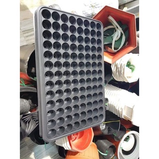 Vĩ ươm hạt giống 104 lỗ