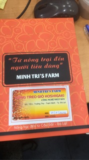 Hồng treo gió