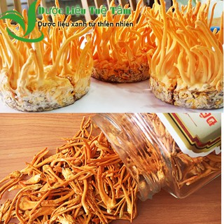 200g đông trùng hạ thảo - khô cao cấp