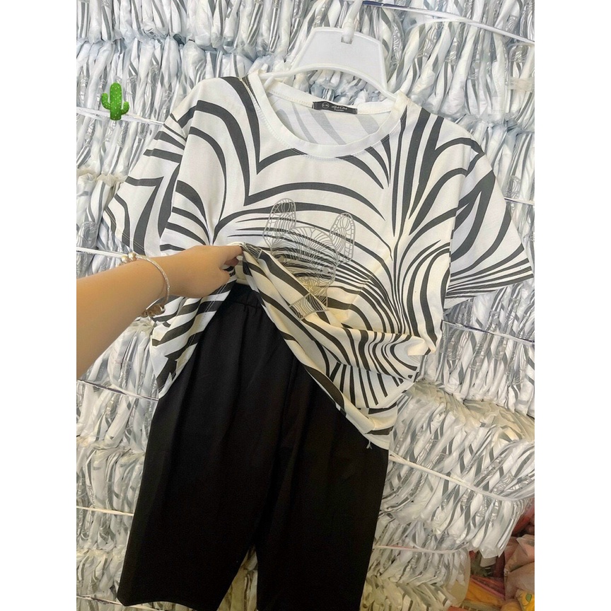 Sét bộ áo thun form rộng tay lỡ màu vằn phối quần thun ngố in hình chó pug cực xinh , chất thun coton mềm mịn