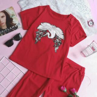 ĐỒ BỘ IN HỌA TIẾT CHIM HẠT