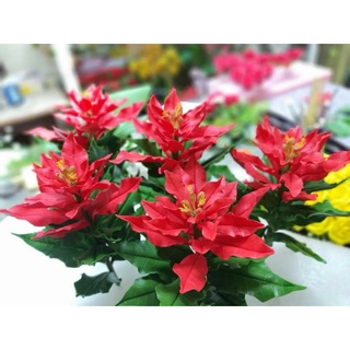 KHUÔN HOA TRẠNG NGUYÊN( CÓ LINK HƯỚNG DẪN )