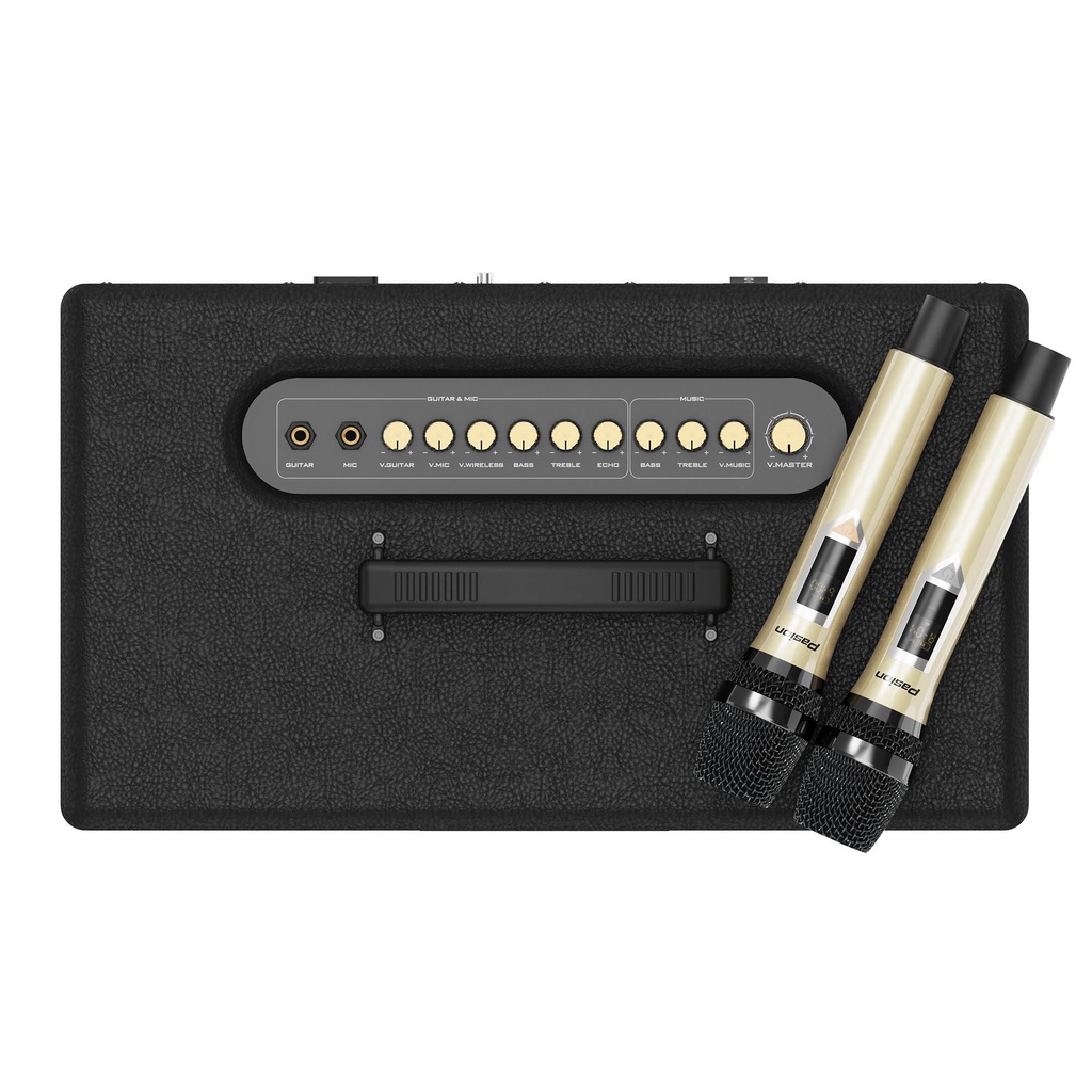 Loa karaoke di động Pasion 2, loa bluetooth xách tay cao cấp hàng chính hãng PARAMAX