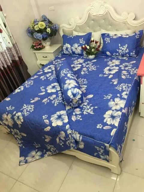 Chăn ga Cotton Poly