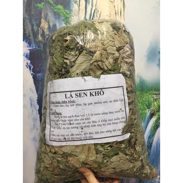 1kg Lá sen khô thơm mới nhất năm 2022