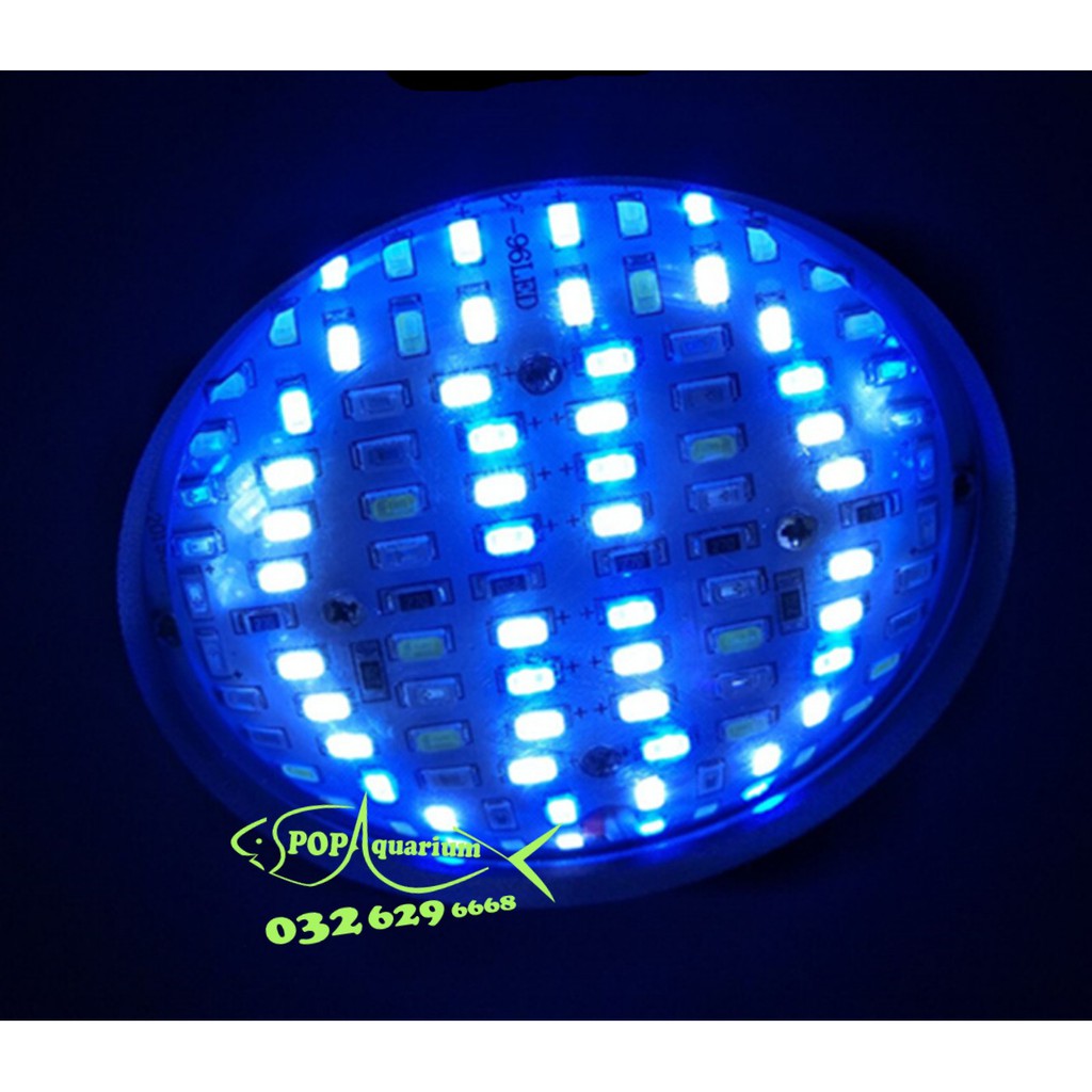 Đèn lon XIMA R50 RGB choá cầu