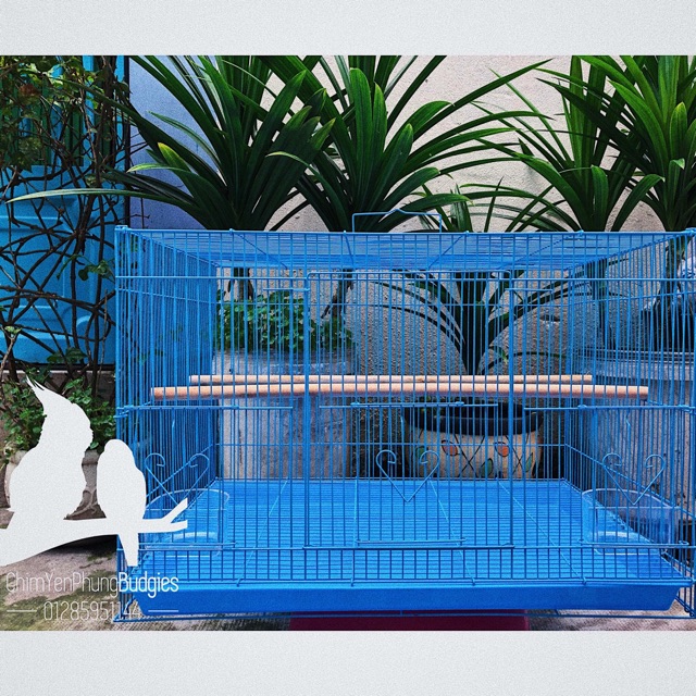 Lồng chim lớn sơn tĩnh điện 40x60 (DxR) nuôi: vẹt, chào mào, chim cảnh, sóc... đủ phụ kiện (2 cóng ăn, 1 cầu đứng).