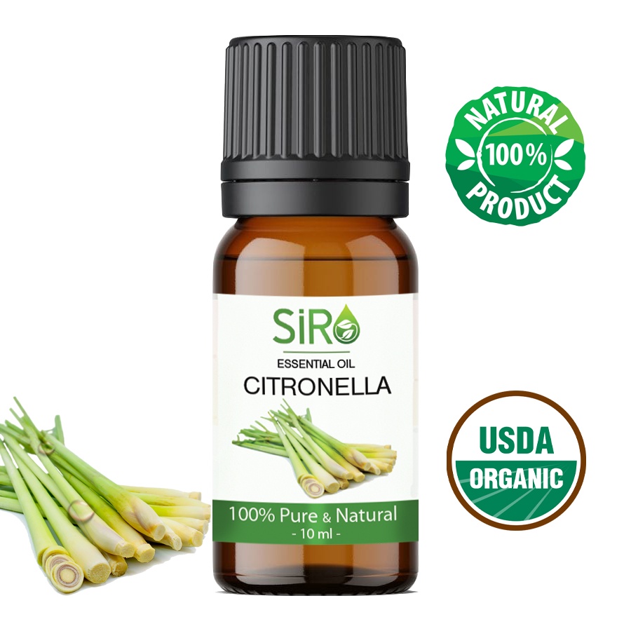 TINH DẦU SẢ JAVA CITRONELLA