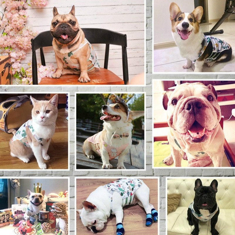 Áo in hình đáng yêu dành cho thú cưng mùa hè Quần áo mỏng thoáng Chó mặt xệ