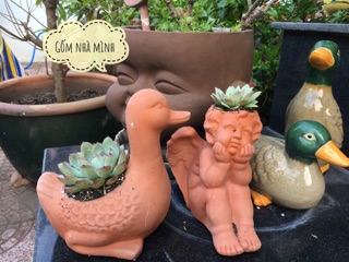 Chậu Gà, Vịt đất nung