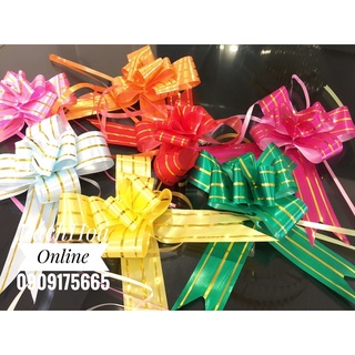 Nơ rút 5cm trang trí túi quà - dưa hấu tết