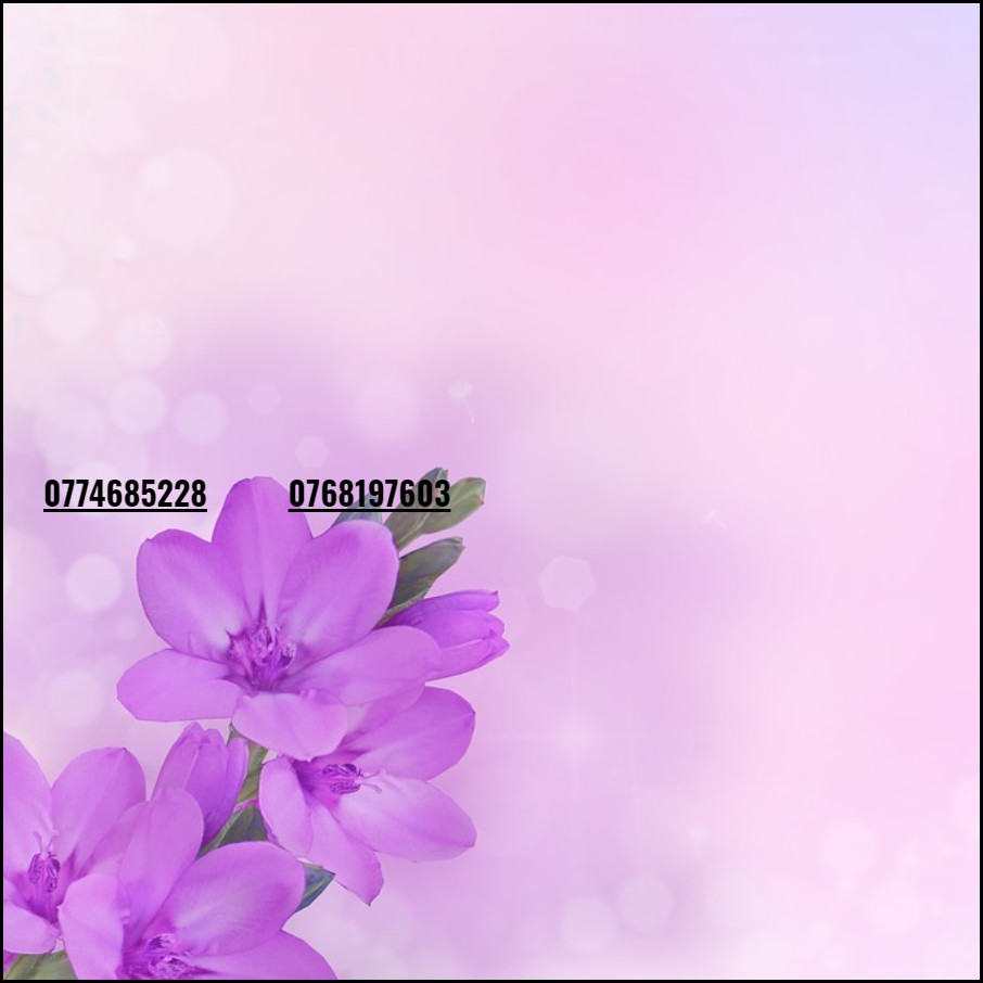 SIM 4G đẹp Mobifone TRÙM DATA | 10 số  FREE tháng đầu