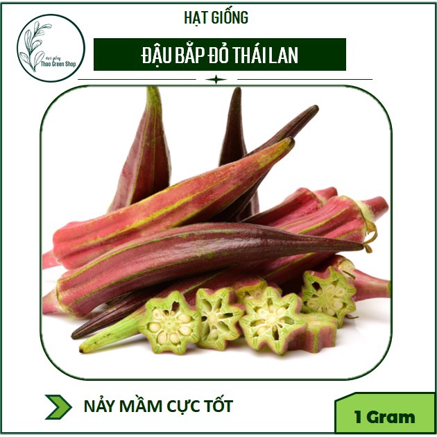 ĐẬU BẮP ĐỎ OKRA THÁI LAN