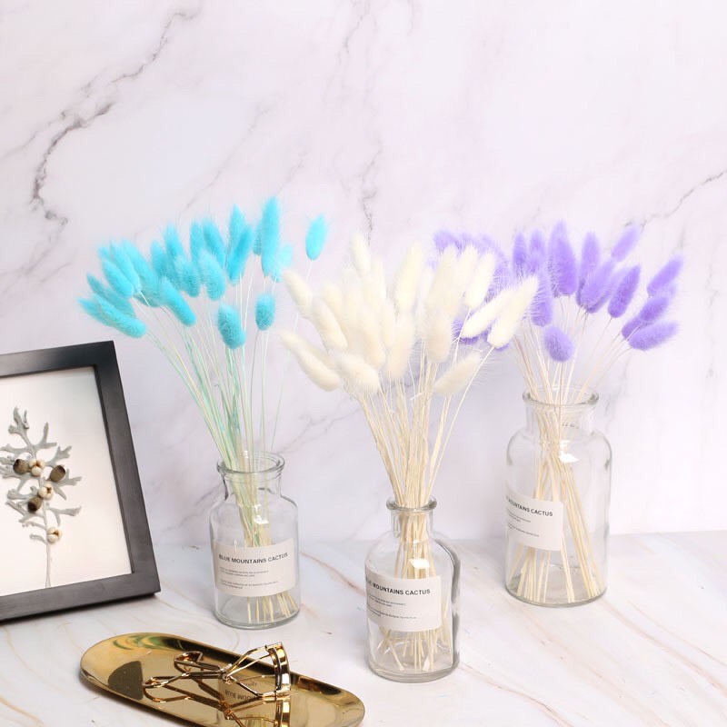 Lọ hoa Bunny Tails khô decor xinh xinh