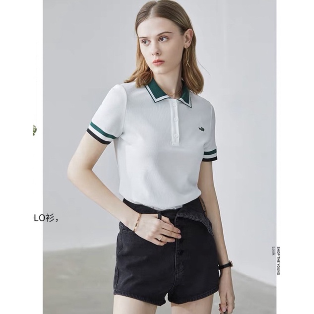Áo polo cổ dệt lacoste TĐ