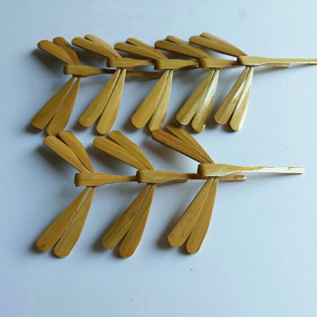 Chuồn chuồn tre mộc