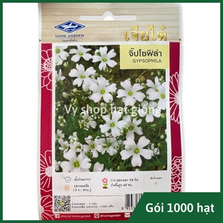 Hạt giống hoa baby trắng (Gypsophila) Thái Lan nguyên gói 1000 hạt