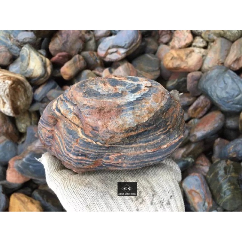 Đá Cuội Vân Mây - Setup, Trang Trí bể thủy sinh, bể cá cảnh, phụ kiện terrarium, chậu cây 1kg