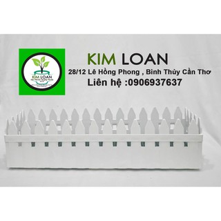 Combo 4 chậu hàng rào nhựa 45x14x12cm