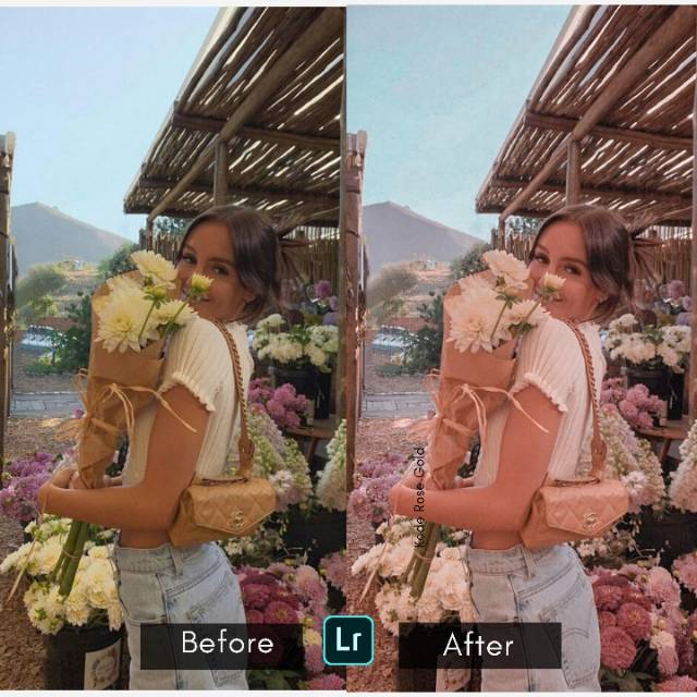 Preset Lightroom Premium Gold Rose Gold X