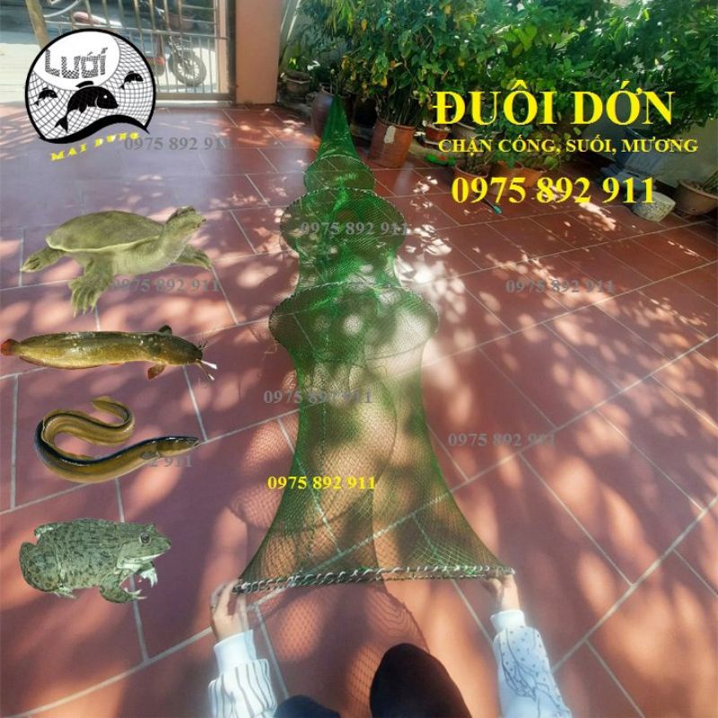 Đuôi dớn , đăng chặn sông , cống mương suối