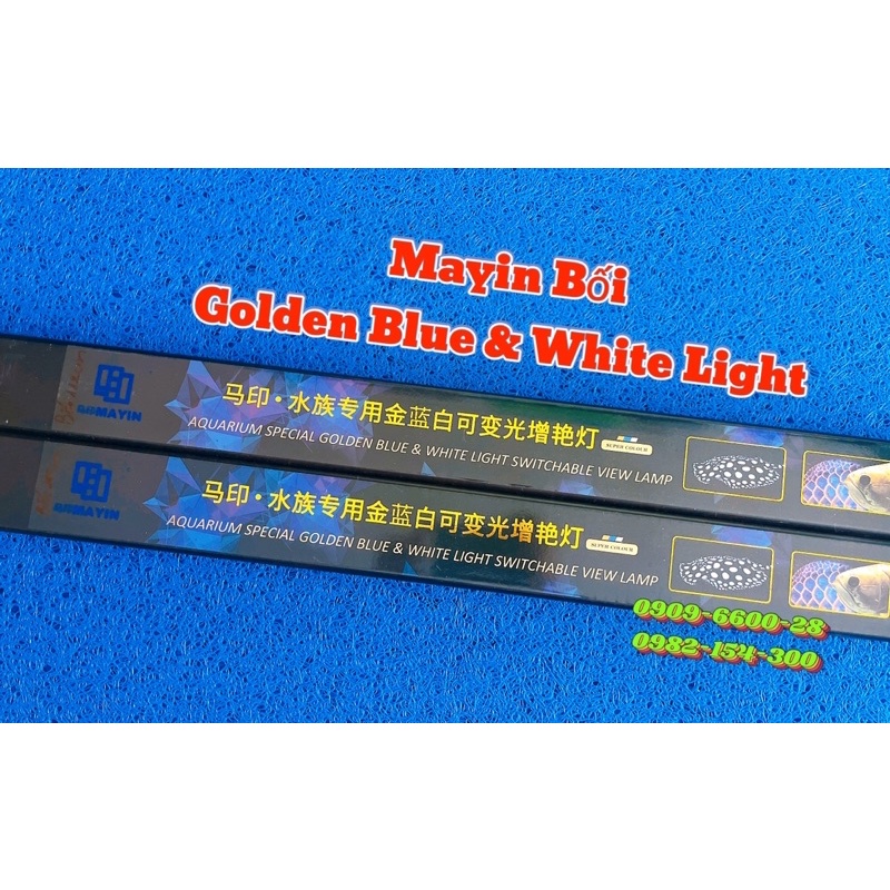 Đèn led cá rồng MAYIN Super Colour XML NO1 T10 đỏ vàng trắng chuyên dụng cá huyết bối