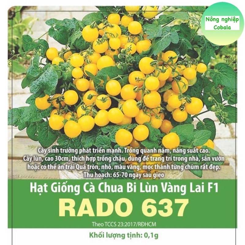 Hạt Giống Cà Chua Bi Lùn Vàng (RADO637) Sai Trái 0.1gr