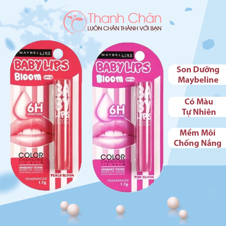 Son Dưỡng có màu Maybelline Baby Lips Bloom 1.7g