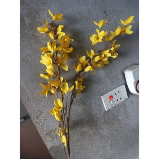 Hoa Mai Mỹ giả
