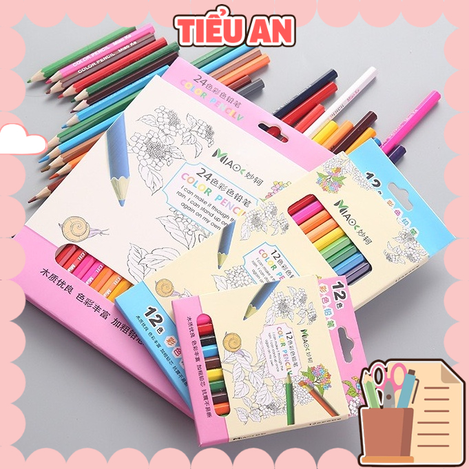 Hộp Bút chì màu - 12 Màu (Chì Cây) - Cây dài - Trang trí