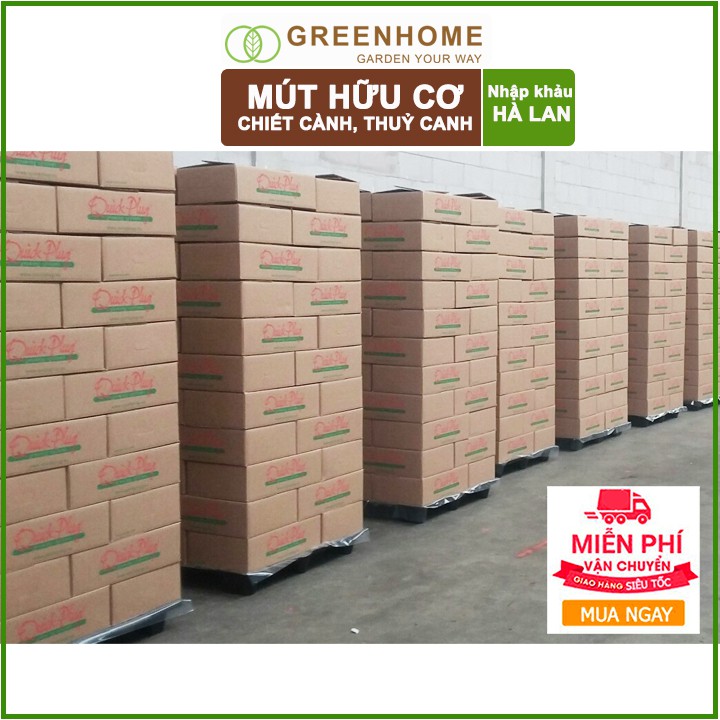 Bộ 5 Mút ươm Kie Hà Lan, 6x6x4cm, hữu cơ, kích rễ, ươm hạt, chiết cành, trồng thuỷ canh |Greenhome