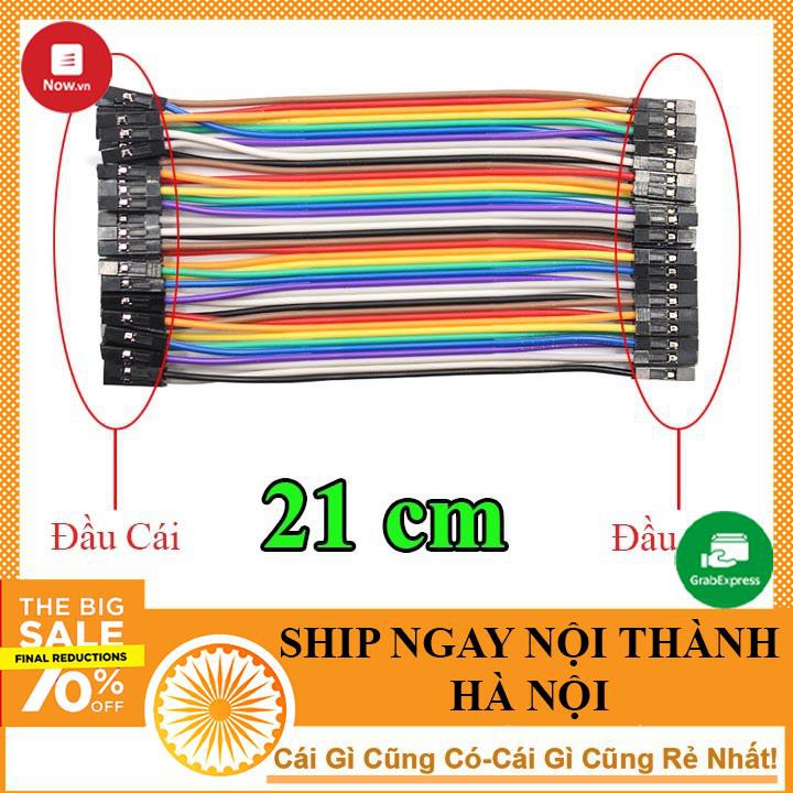 10 Sợi Dây Cắm Test Board Cái Cái 21cm - NTHN