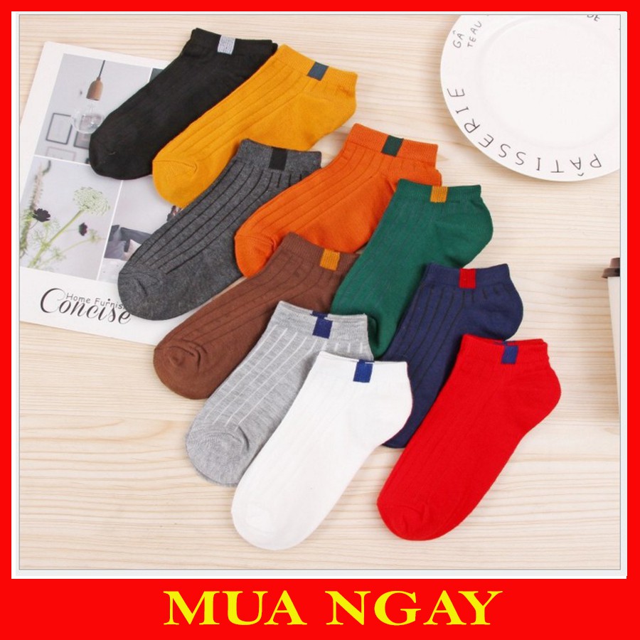 Combo 10 Tất Hàn Quốc Cổ Ngắn Nhiều Màu TN03
