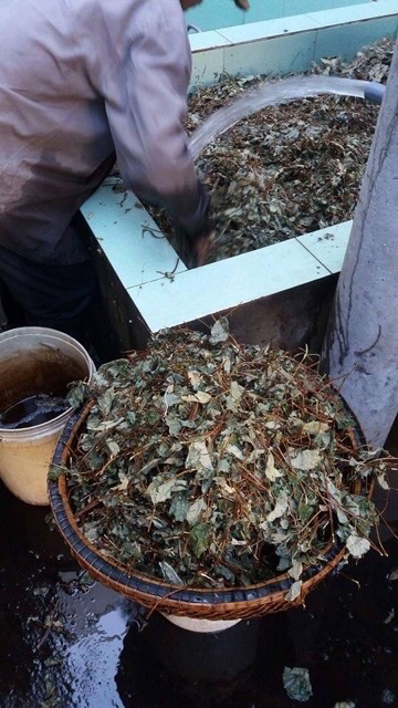 Cao hà thủ ô 100% nguyên chất lọ 100g Thiên Phúc việt | BigBuy360 - bigbuy360.vn