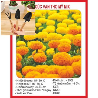 Hạt giống Hoa Cúc Vạn Thọ Mỹ 50 Hạt TẶNG BỘ LÀM VƯƠN MINI