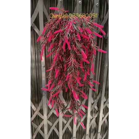 Cụm rủ treo tường-bụi rủ ớt trang trí,decor phong cách vintage