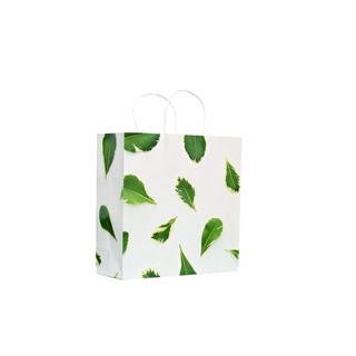 Túi giấy cao cấp size 29 x 11 x 29 cm mã lá