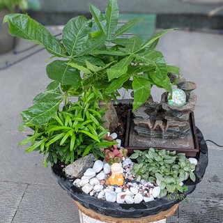 Thác nước tiểu cảnh – Phong Thuỷ Luân