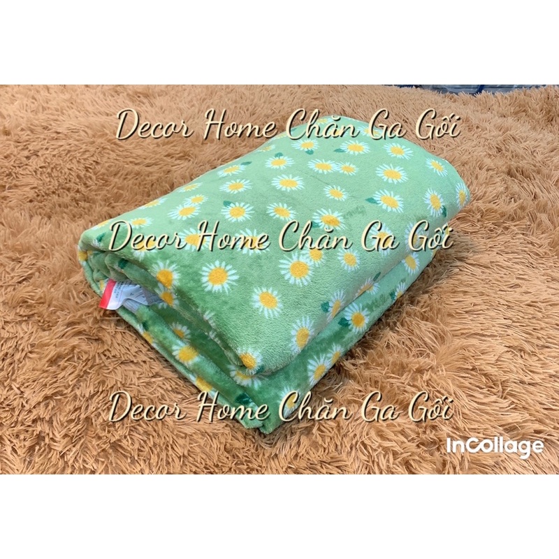 Chăn nỉ nhung tuyết Hàn Quốc mềm mịn kích thước 2m-2m3 Decor Home