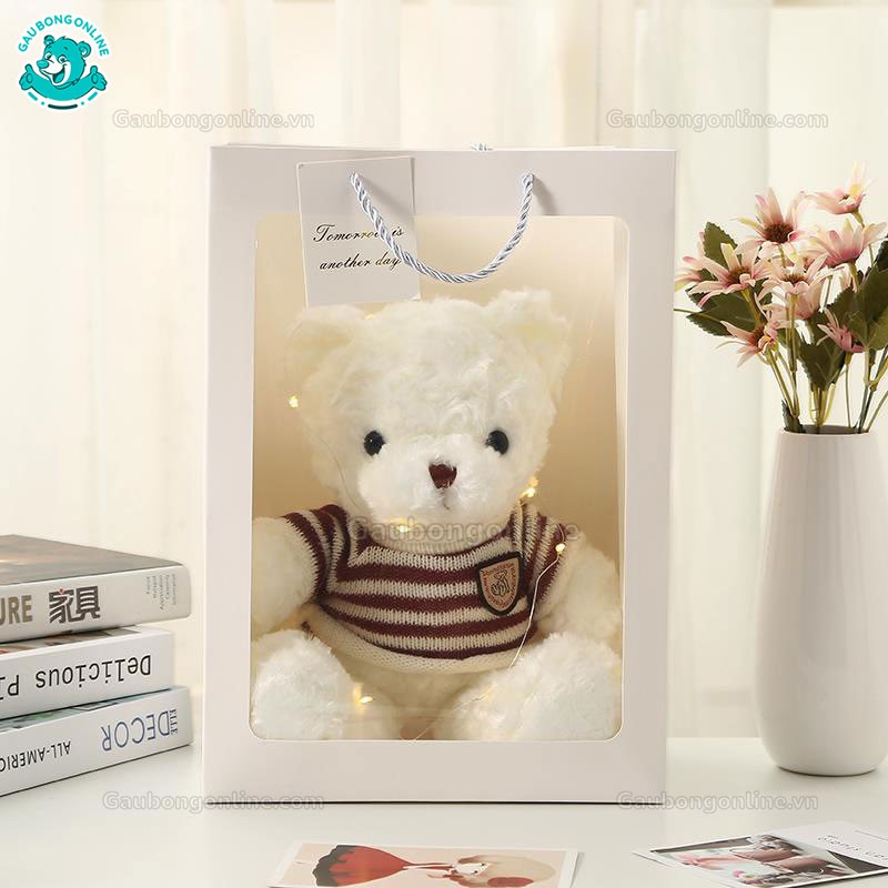 Set Túi Quà Tặng Gấu Teddy Áo Len Lông Xù Cao Cấp Gấu Bông Online