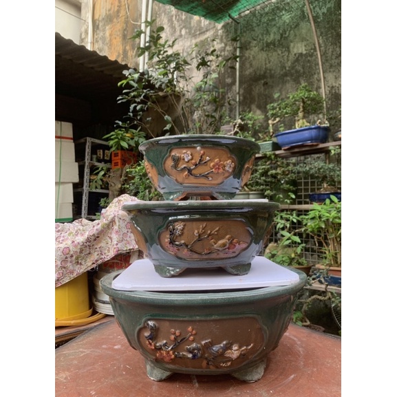 Chậu tròn trồng cây bónsai  - chậu tưs cảnh