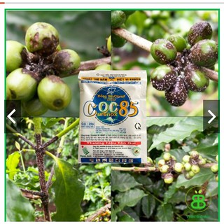 TRỪ NẤM COC 85