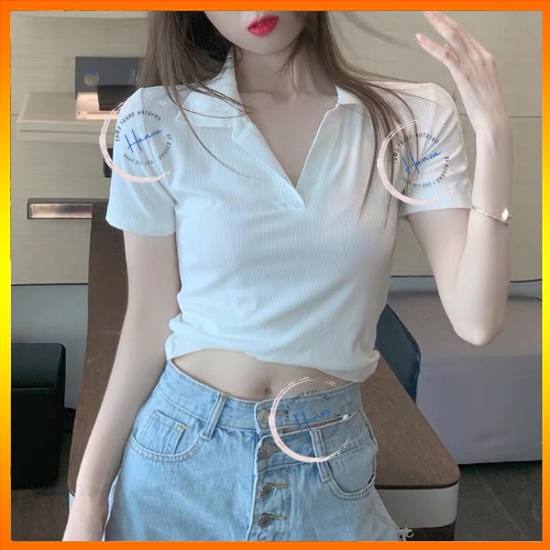 Áo Croptop Nữ Tay Ngắn Có Cổ Chất Cotton 100% Cao Cấp Dáng Ôm Kiểu Dáng Basic Hàn Quốc Ullzang Hanva