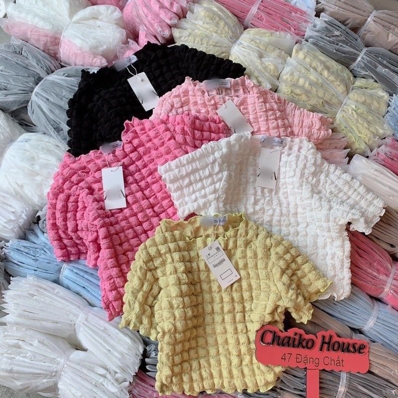 ÁO CROPTOP NGẮN TAY VẢI XỐP XỊN XÒ B43