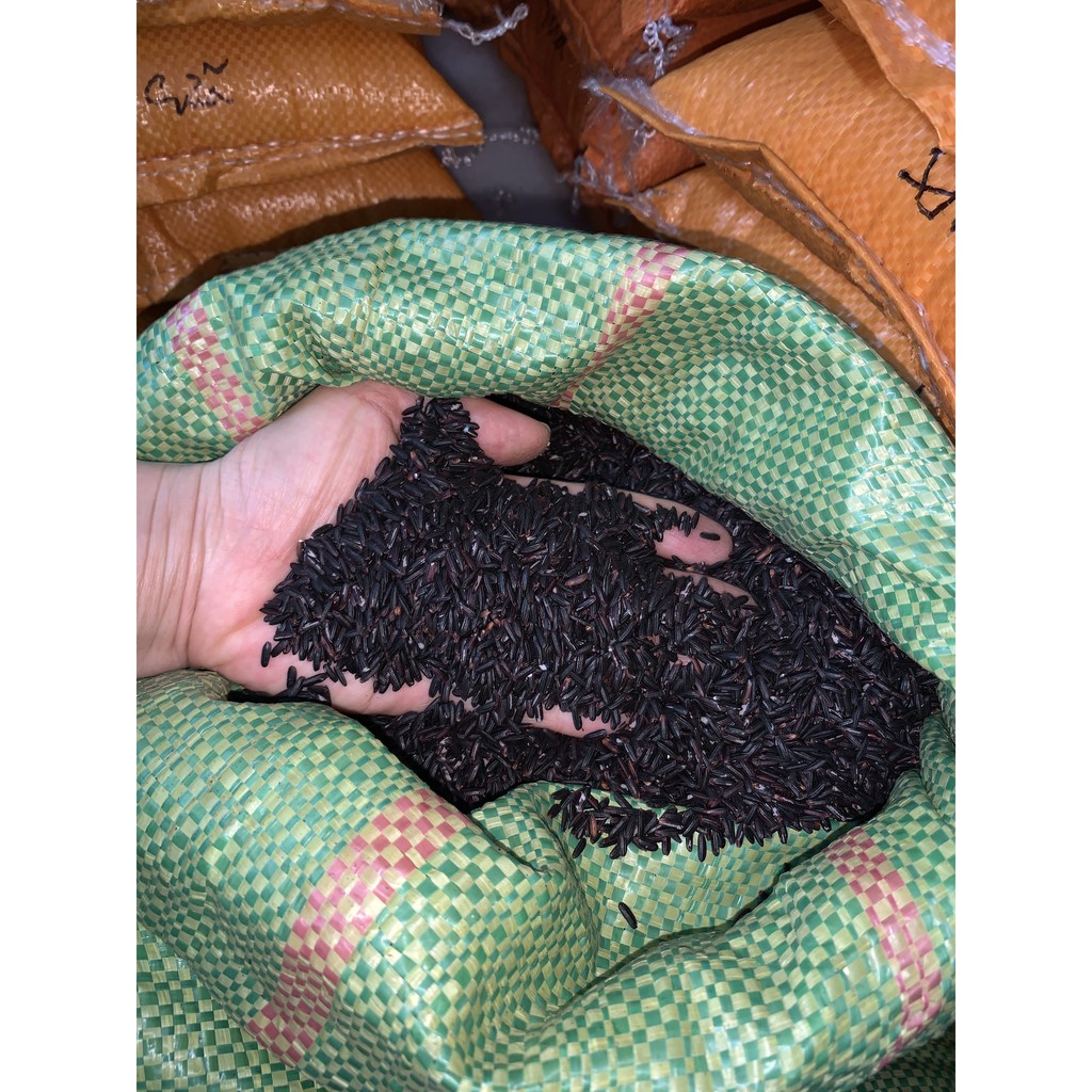 Gạo Nếp Cẩm Nếp Than hút chân không túi 1kg - Thơm ngon dẻo ngọt, tốt cho tim mạch, làm sữa chua nếp cẩm
