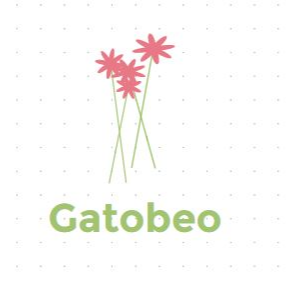 Gatobeo, Cửa hàng trực tuyến | BigBuy360 - bigbuy360.vn