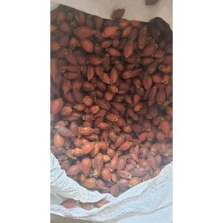 QUẢ DÀNH DÀNH (KHÔ)