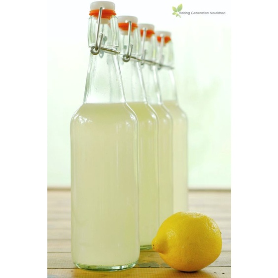 Nấm nước Kefir khỏe, tạo kefir dừa hoặc kefir trái cây